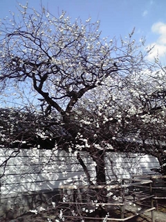 201002191452000.jpg