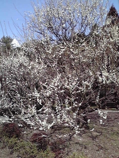 201002191456000.jpg